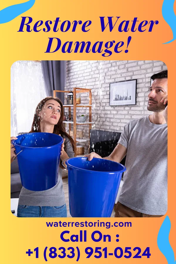 water restoration Vigilant Damage Restoration Co Milton Mills